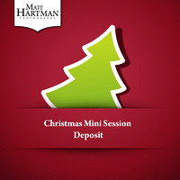 Christmas Mini Sessions